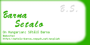 barna setalo business card